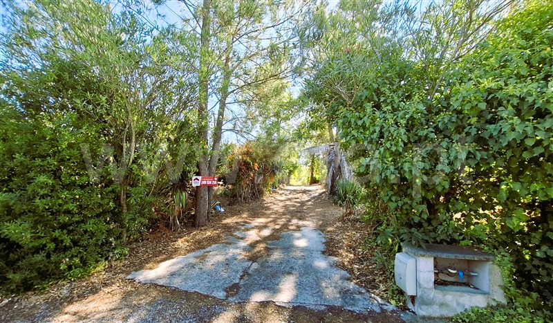 Moradia Isolada T3 Tomar, São Pedro de Tomar - 1506653 - 4