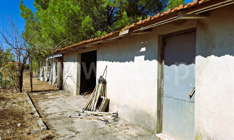 Moradia Isolada T3 Tomar, São Pedro de Tomar - 1506653 - 9