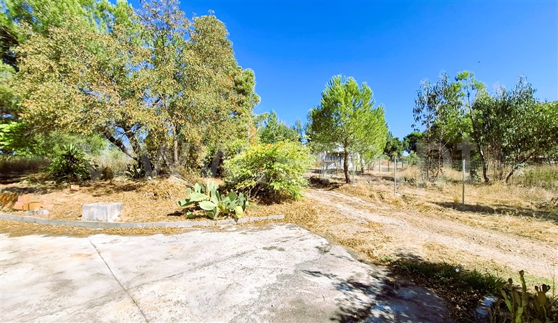 Moradia Isolada T3 Tomar, São Pedro de Tomar - 1506653 - 10