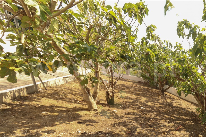 Moradia T3 à venda em Carvoeira e Carmões, Torres Vedras — foto 18