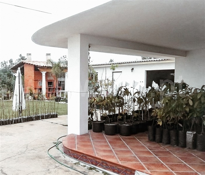 Moradia Isolada T3 com Jardim Vagos, Fonte de Angeão e Covão do Lobo - 1440679 - 47