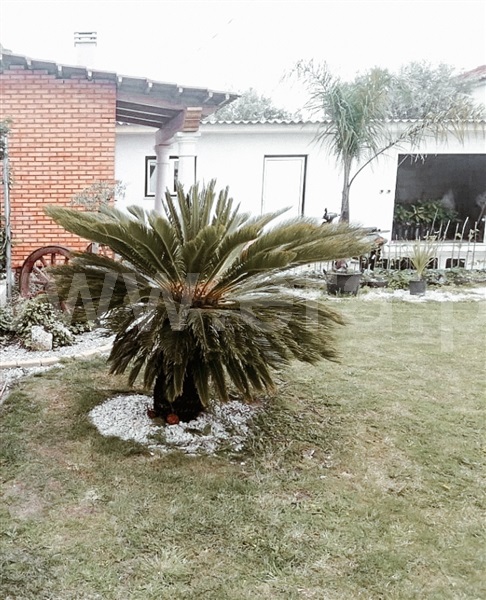 Moradia Isolada T3 com Jardim Vagos, Fonte de Angeão e Covão do Lobo - 1440679 - 54