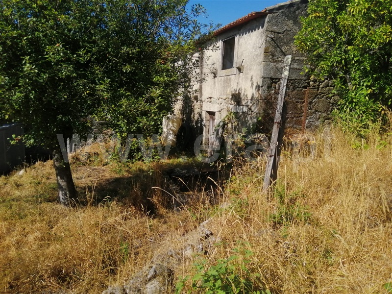 Moradia Isolada T3 Vale de Cambra, Cepelos - 1271316 - 5