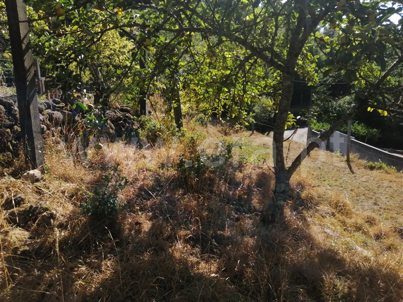 Moradia Isolada T3 Vale de Cambra, Cepelos - 1271316 - 6