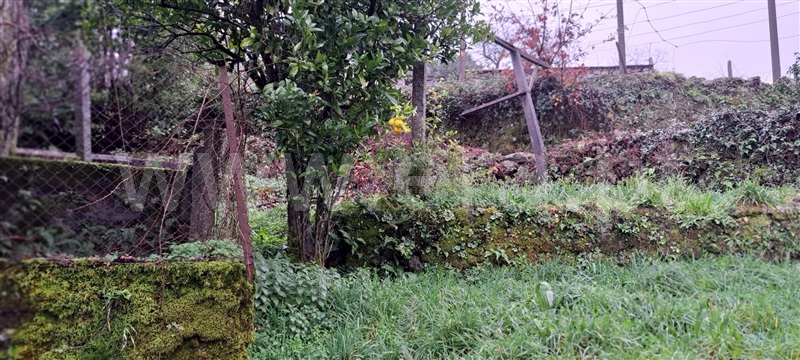 Moradia Isolada T3 com Quintal Vale de Cambra, Cepelos - 1271316 - 9