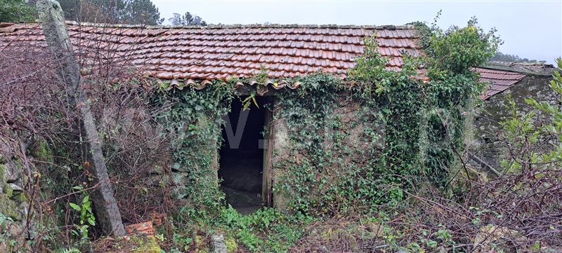 Moradia Isolada T3 com Quintal Vale de Cambra, Cepelos - 1271316 - 11
