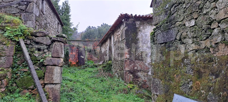 Moradia Isolada T3 com Quintal Vale de Cambra, Cepelos - 1271316 - 12