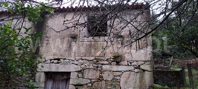 Moradia Isolada T3 com Quintal Vale de Cambra, Cepelos - 1271316 - 20