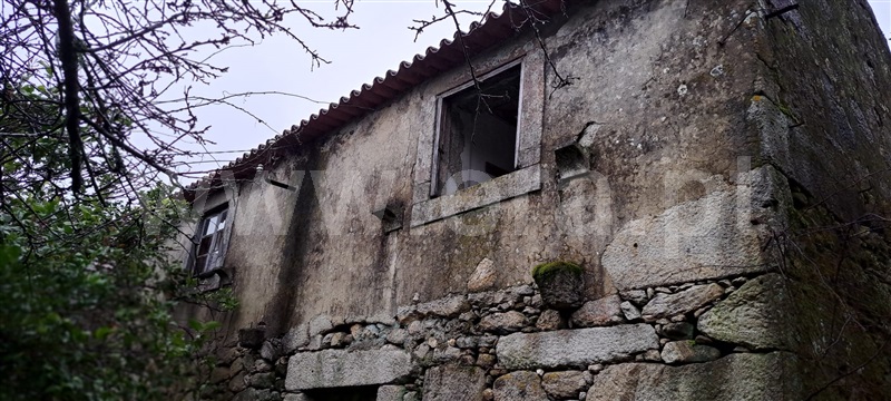 Moradia Isolada T3 com Quintal Vale de Cambra, Cepelos - 1271316 - 22