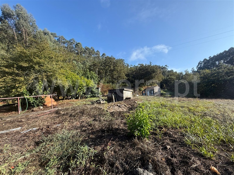 Moradia Isolada T3 Vale de Cambra, Vila Chã, Codal e Vila Cova de Perrinho - 1504748 - 6