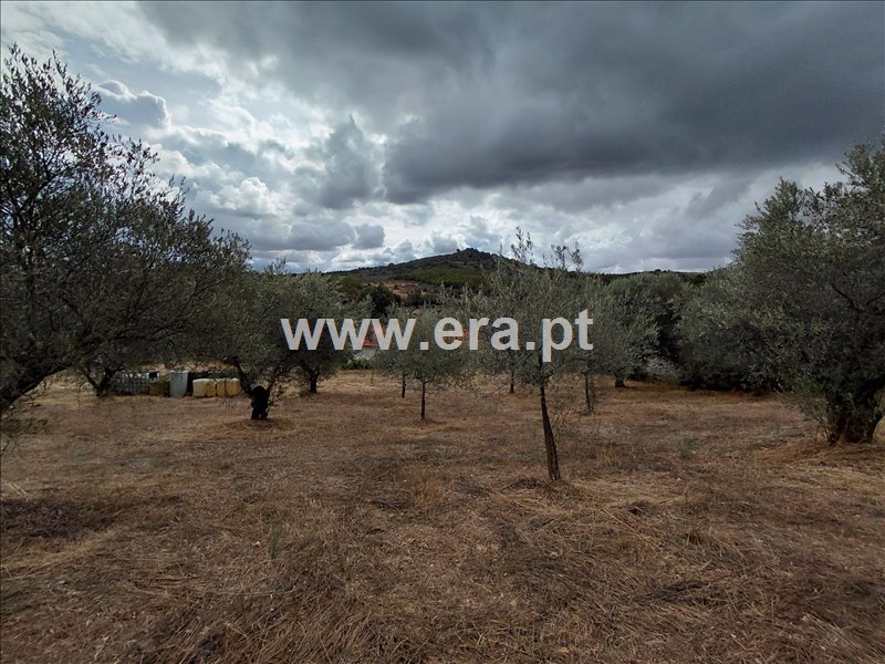 Moradia T3 à venda em Rio Torto, Valpaços — foto 16