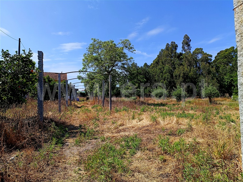 Moradia Isolada T3 com Terreno Viana do Castelo, Cardielos - 1194440 - 14