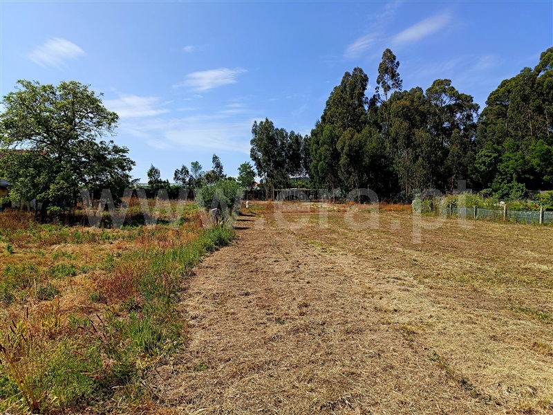 Moradia Isolada T3 com Terreno Viana do Castelo, Cardielos - 1194440 - 16