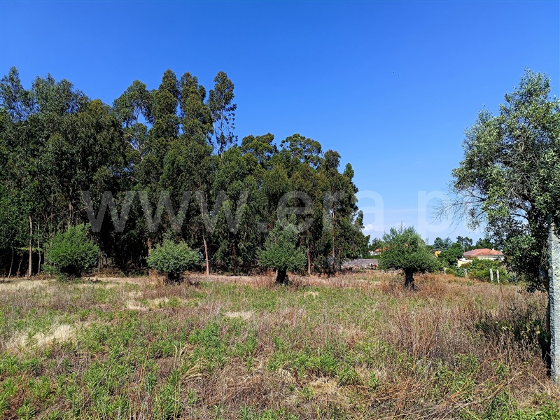 Moradia Isolada T3 com Terreno Viana do Castelo, Cardielos - 1194440 - 17