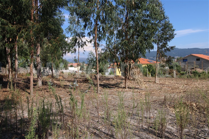Moradia Isolada T3 com Terreno Viana do Castelo, Cardielos - 1194440 - 20