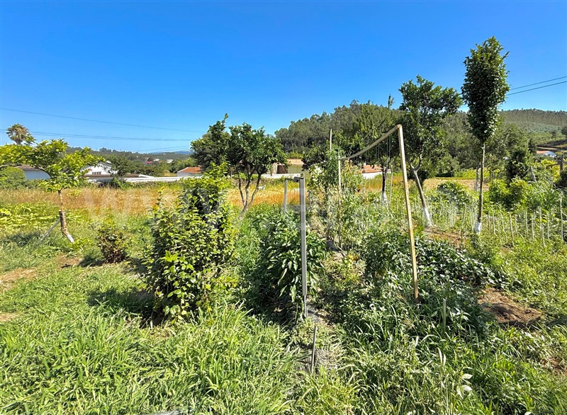 Moradia Isolada T3 Vila Nova de Famalicão, Vilarinho das Cambas - 1498465 - 5