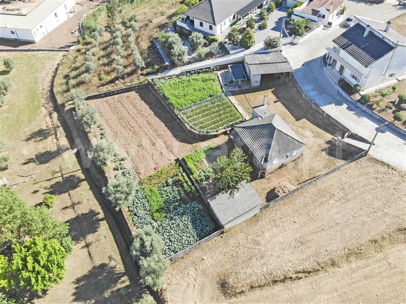 Moradia Isolada T3 / Vila Nova de Paiva, Lousadela