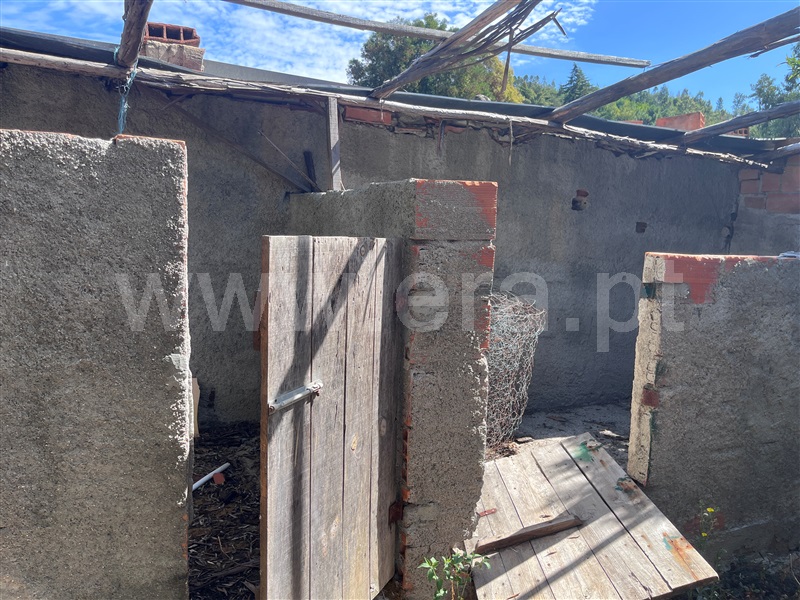 Moradia Isolada T3 com Terreno Vila Nova de Poiares, Poiares (Santo André) - 1503085 - 11