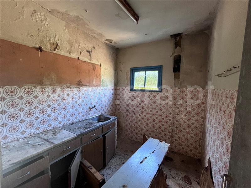 Moradia Isolada T3 com Terreno Vila Nova de Poiares, Poiares (Santo André) - 1503085 - 18
