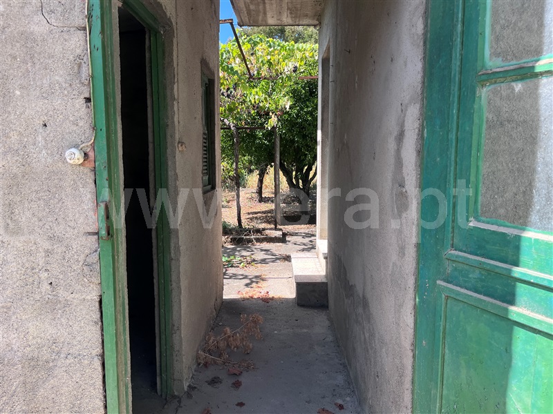 Moradia Isolada T3 com Terreno Vila Nova de Poiares, Poiares (Santo André) - 1503085 - 21