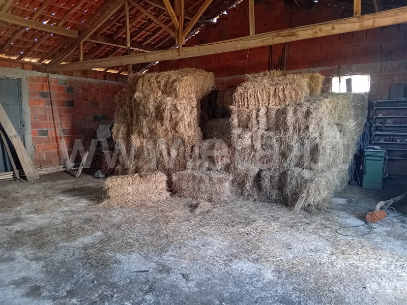 Moradia Isolada T3 Vila Pouca de Aguiar, Sabroso de Aguiar - 1494529 - 64