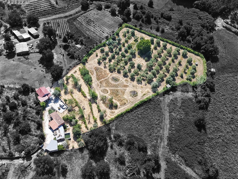 Moradia T3 à venda em Povolide, Viseu — foto 2