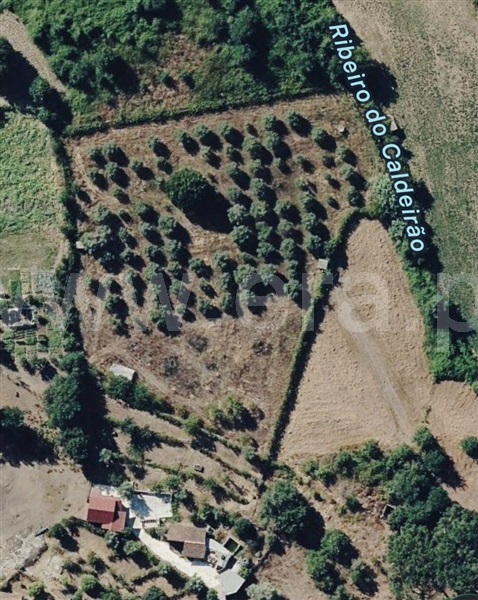 Moradia T3 à venda em Povolide, Viseu — foto 9