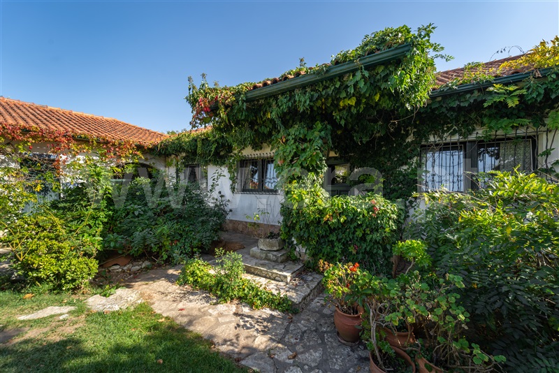 Moradia Isolada T4 com Piscina Alcobaça, Aljubarrota - 1361573 - 1