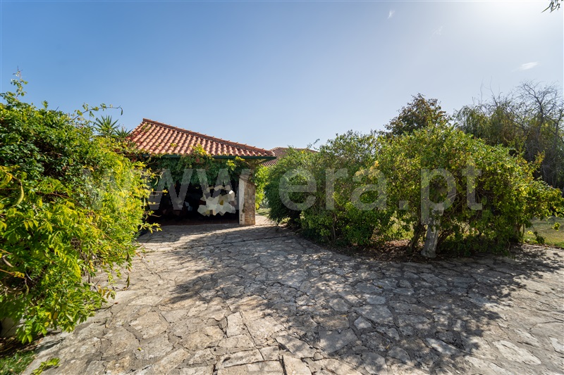 Moradia Isolada T4 com Piscina Alcobaça, Aljubarrota - 1361573 - 19