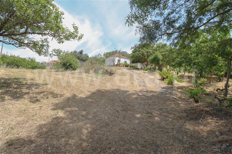Quintinha T4 Alenquer, Alenquer (Santo Estêvão e Triana) - 1486155 - 33