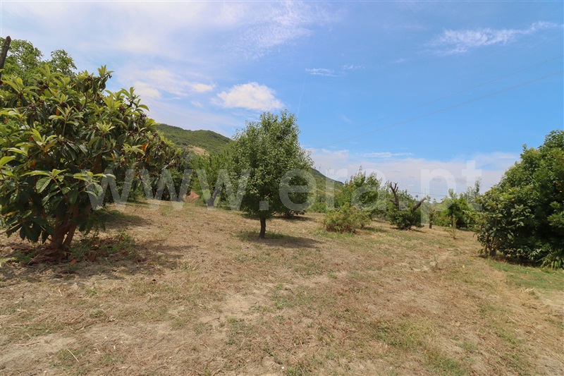 Quintinha T4 Alenquer, Alenquer (Santo Estêvão e Triana) - 1486155 - 35