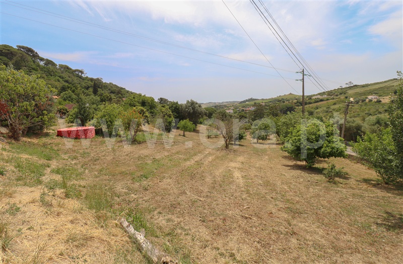 Quintinha T4 Alenquer, Alenquer (Santo Estêvão e Triana) - 1486155 - 38