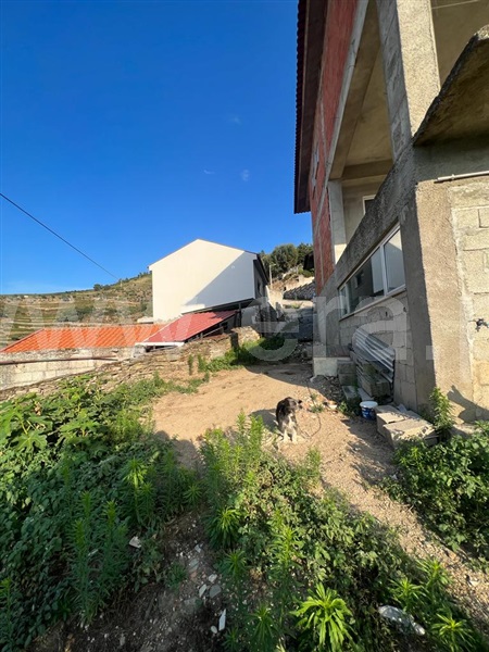 Moradia Isolada T4 Alijó, Vale de Mendiz, Casal de Loivos e Vilarinho de Cotas - 1359100 - 5