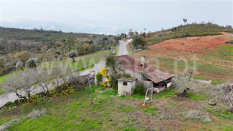 Moradia T4 à venda em Almoster, Alvaiázere — foto 10