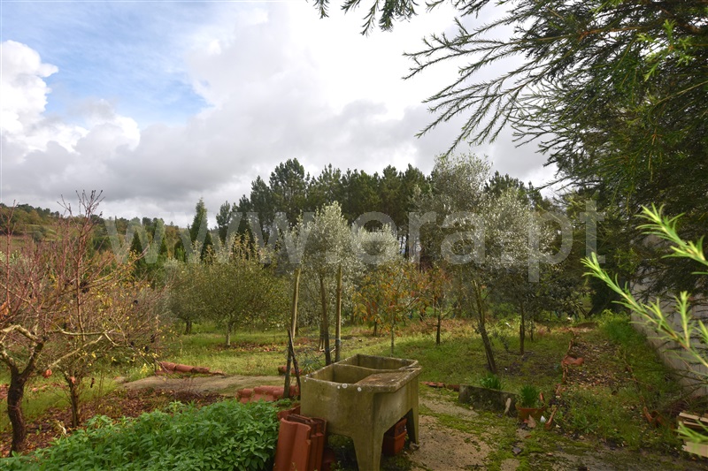 Moradia Isolada T4 Anadia, Arcos e Mogofores - 1285665 - 17