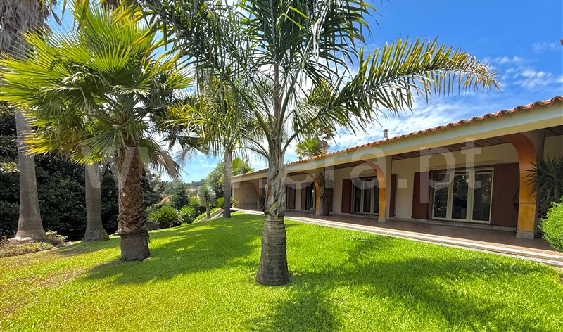 Moradia Isolada T4 / Barcelos, Viatodos, Grimancelos, Minhotães e Monte de Fralães