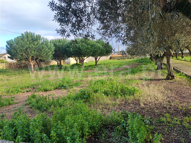 Moradia Isolada T4 Cantanhede, Aljuriça - 1461511 - 13