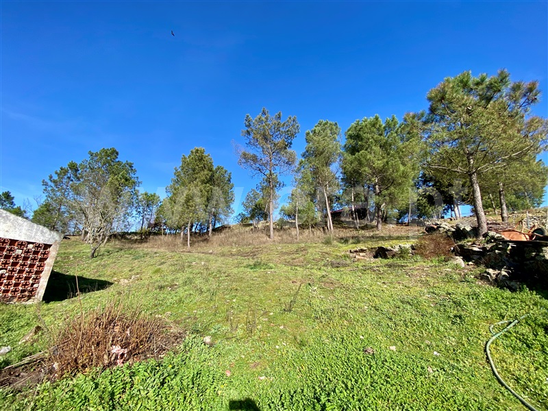 Moradia Isolada T4 Chaves, Oura - 1454418 - 28