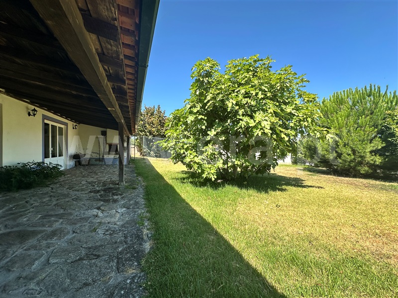 Moradia Isolada T4 Chaves, Vale de Anta - 1496403 - 18