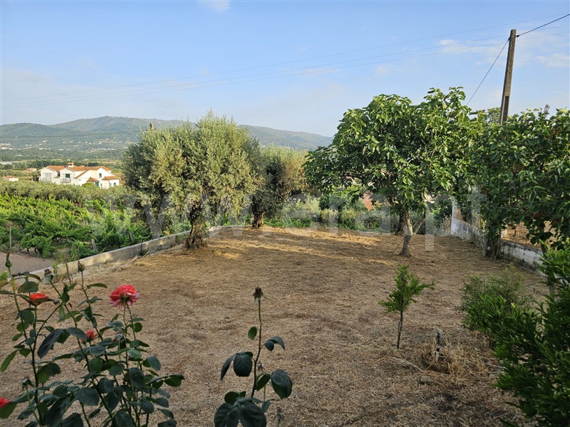 Moradia Isolada T4 Fundão, Telhado - 1489714 - 2