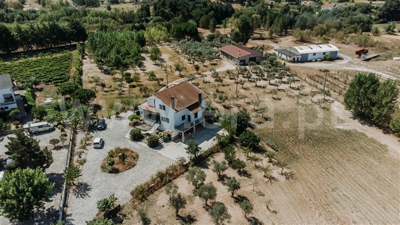 Moradia Isolada T4 Gouveia, Melo e Nabais - 1424276 - 3