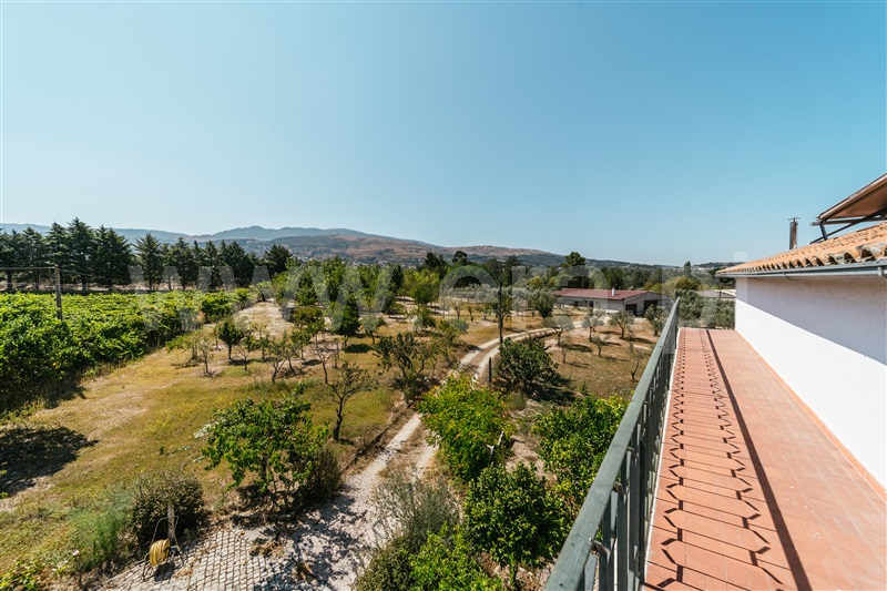 Moradia Isolada T4 Gouveia, Melo e Nabais - 1424276 - 40