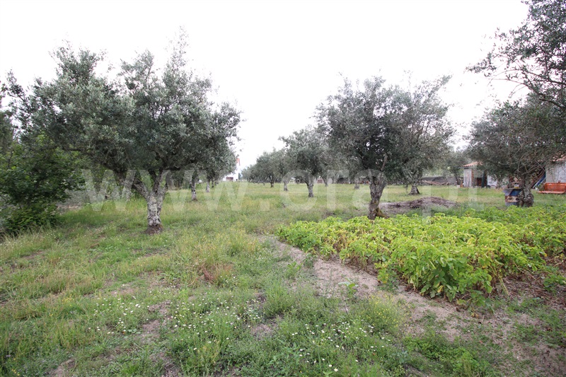 Moradia Isolada T4 Gouveia, Rio Torto e Lagarinhos - 1336371 - 94