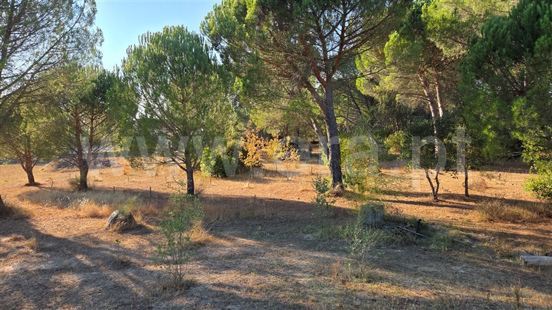 Moradia Isolada T3 Gouveia, Rio Torto e Lagarinhos - 1453530 - 1
