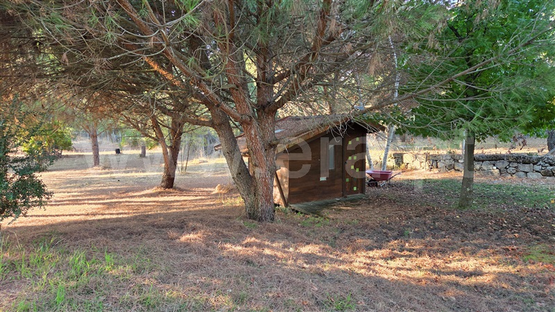 Moradia Isolada T3 Gouveia, Rio Torto e Lagarinhos - 1453530 - 4