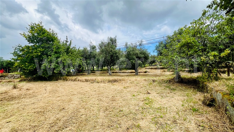 Moradia Isolada T4 Gouveia, Vila Nova de Tazem - 1385870 - 47