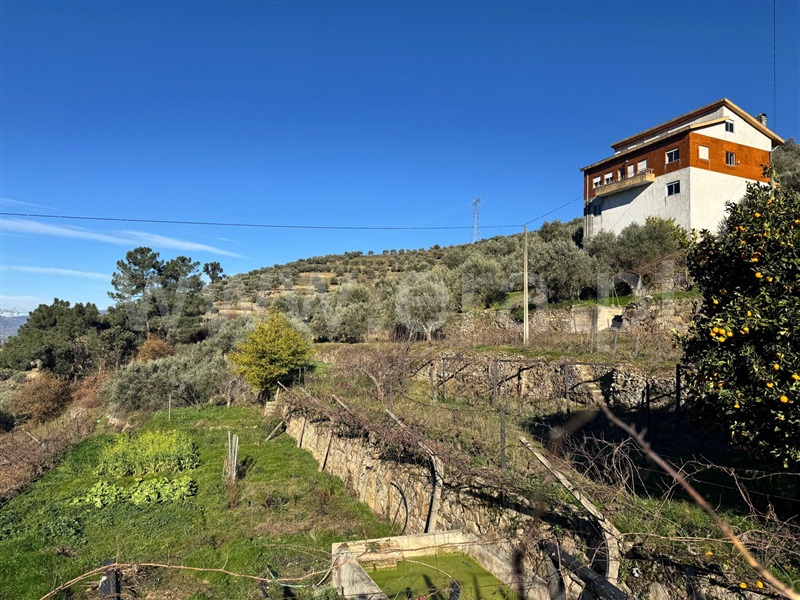 Moradia Isolada T4 / Lamego, Figueira