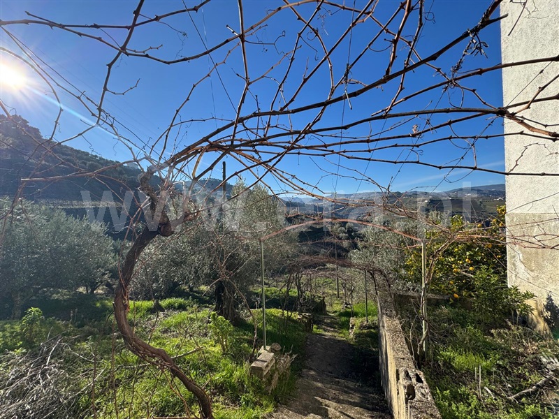 Moradia Isolada T4 Lamego, Figueira - 1452521 - 14