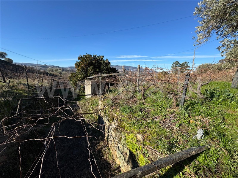 Moradia Isolada T4 Lamego, Figueira - 1452521 - 16
