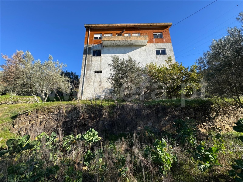 Moradia Isolada T4 Lamego, Figueira - 1452521 - 17